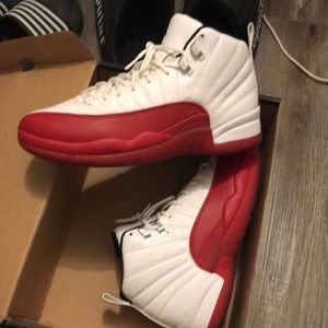 Air Jordan 12s